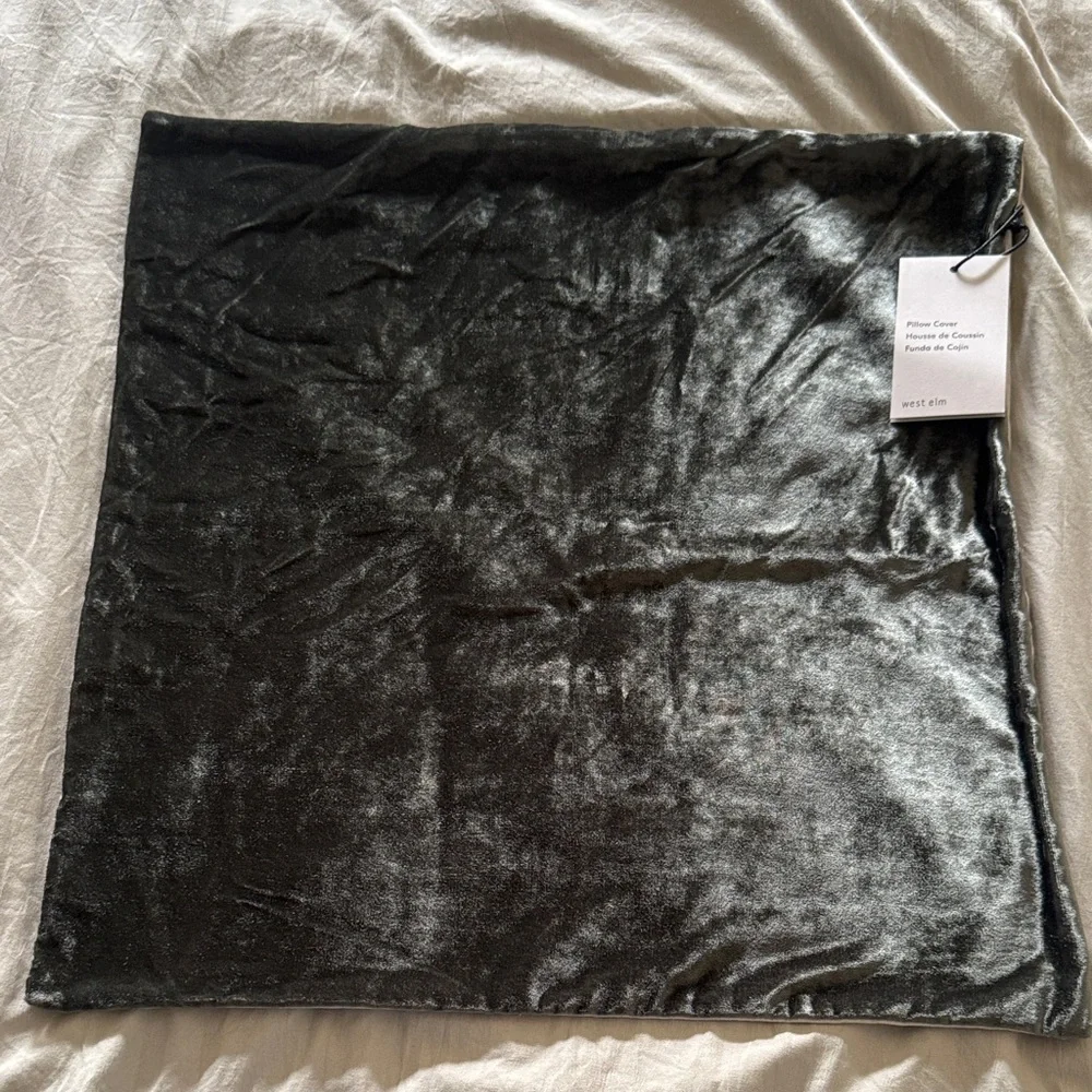 West Elm Lush Velvet Pillow Cover 20x20